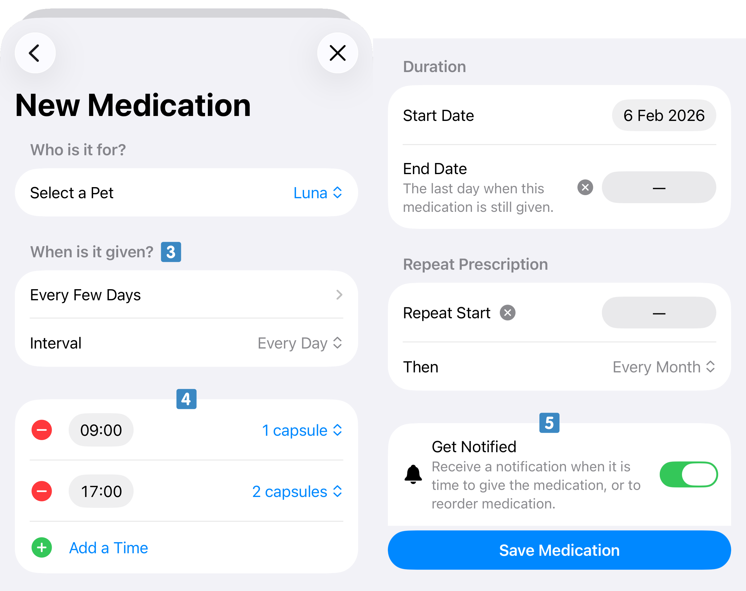 medication posology