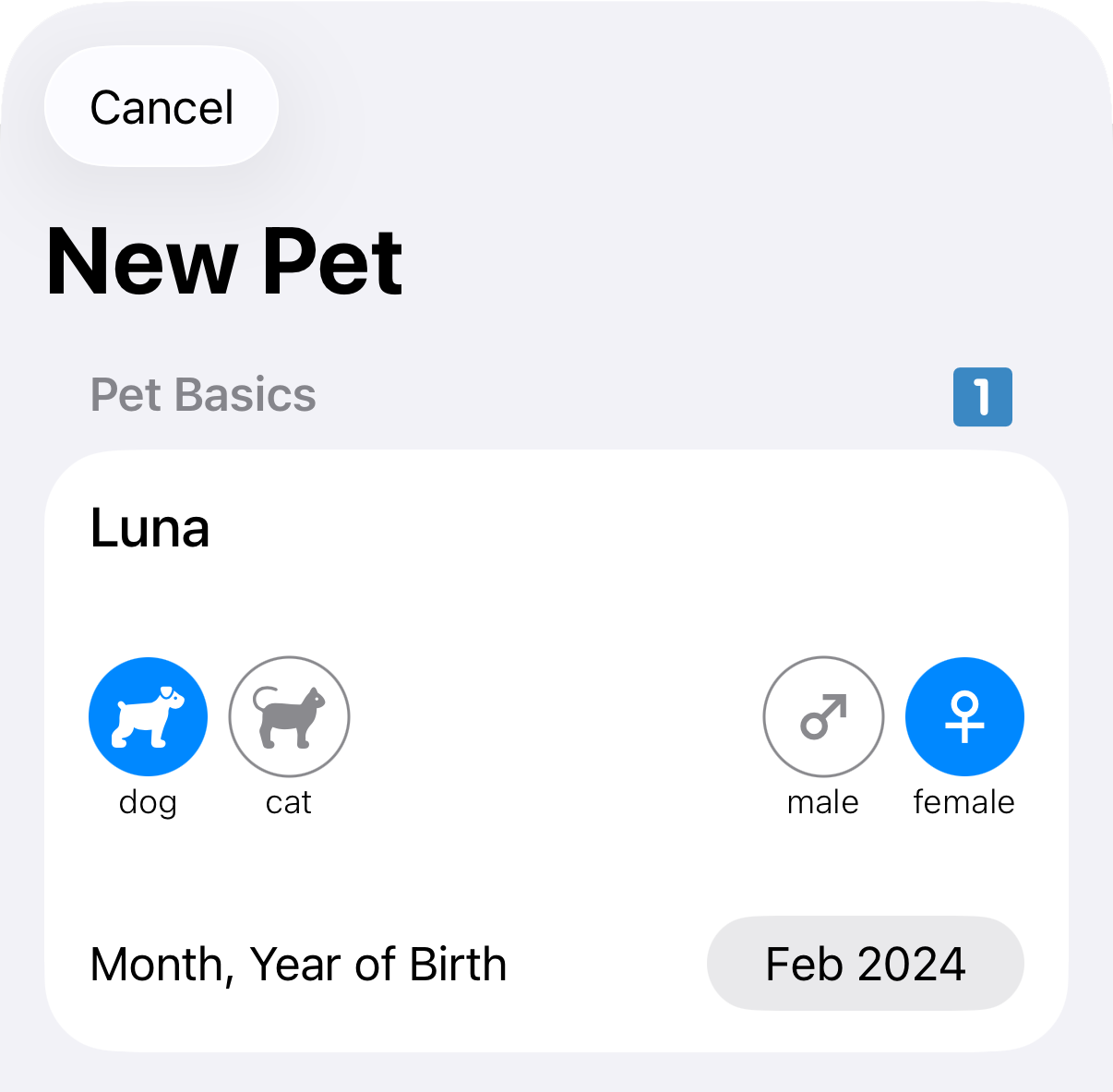 pet basics